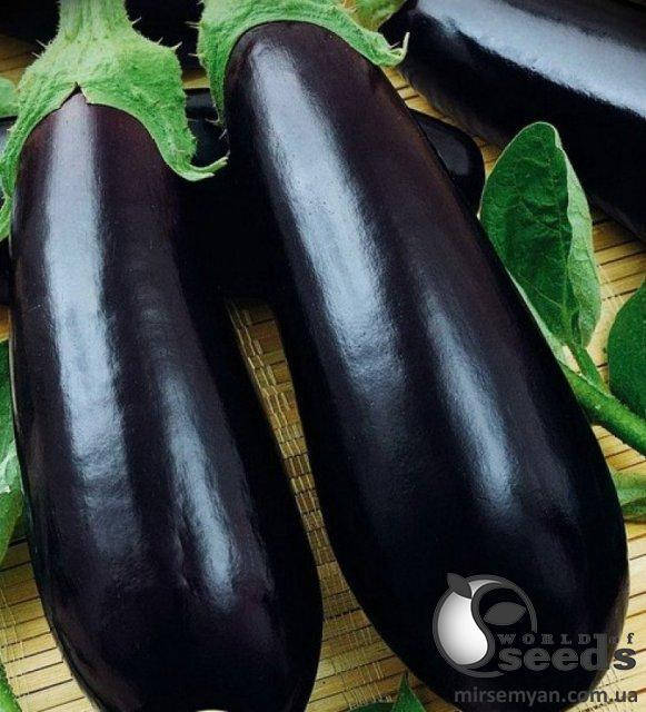 

Баклажан KS 1258 F1 1000 сем. Kitano seeds