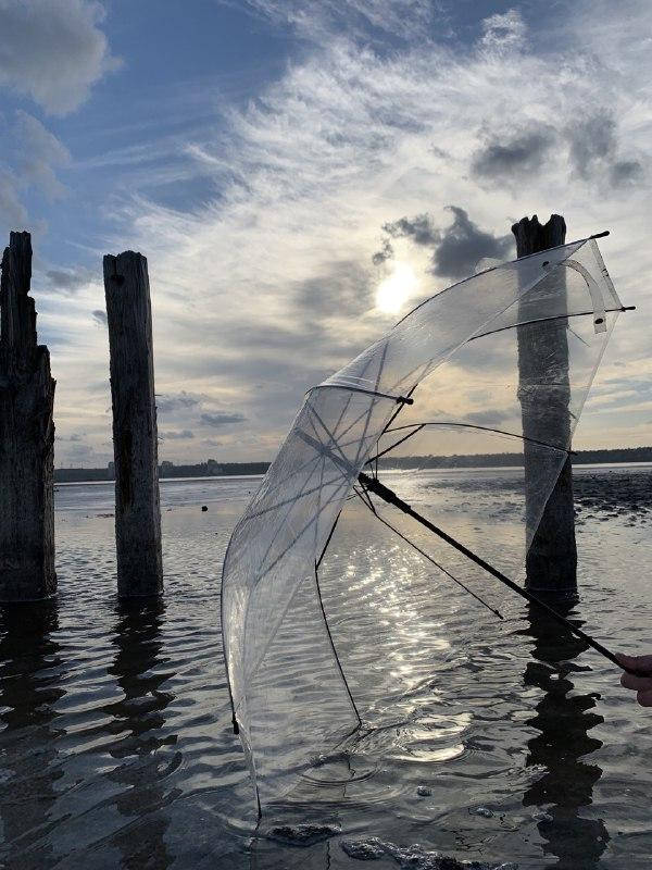 

Прозрачный зонт-трость, полуавтомат с черной ручкой Качество Люкс SKL11-276461, Черный