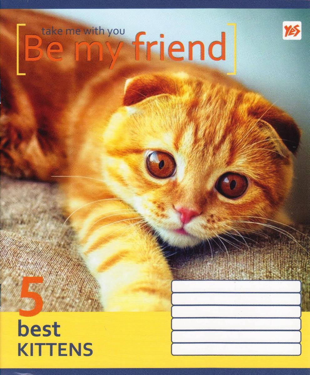 

Тетрадь 18 листов. линия "Be my friend", 761540