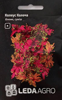 Колеус Колоча, суміш 8 шт драже (LEDA AGRO)