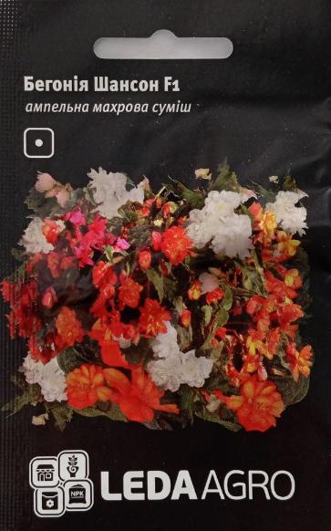 Бегонія Шансон F1, суміш 10 шт (LEDA AGRO), фото 1