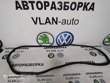 3C982705A Ущільнююча резинка багажника (універсал) Б 6 Європа VW