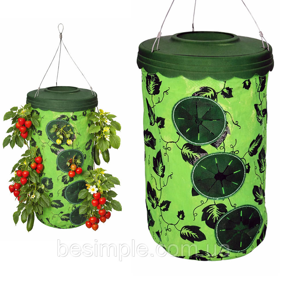 Підвісний кашпо-мішок на 10 лунок для ягід та томатів 35х24х36 см / Плантатор для полуниці / Підвісний мішок для рослин, фото 1