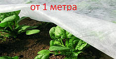 Агроволокно біле (спанбонд) 17 г/кв. м для захисту ягід, овочів, фруктів, дерев та кущів