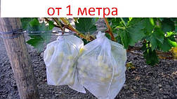 Біле агроволокно (спанбонд) 19 г/м кв. як укривний матеріал для рослин, фото 3