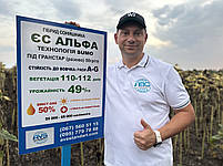 Гібрид під Грастар. ЄС Альфа 9Сумо). 55ц/га, вовчок A-G, олія 52%.  Стандарт, фото 3