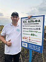 Гібрид під Грастар. ЄС Альфа 9Сумо). 55ц/га, вовчок A-G, олія 52%.  Стандарт, фото 4