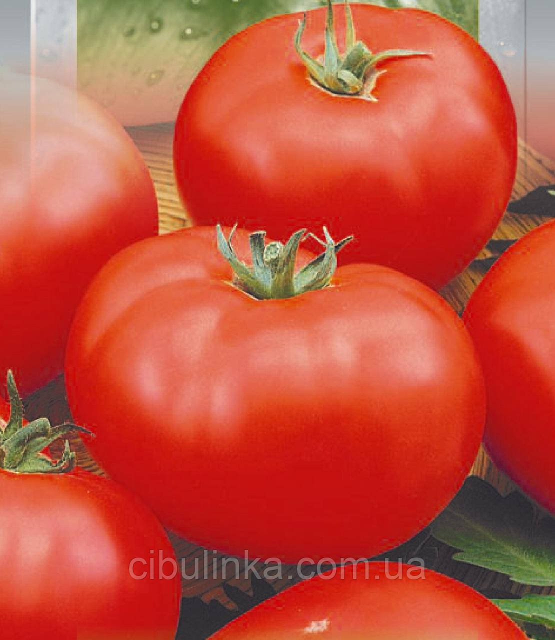 Томат Товстий Джек (низькорослий) 0,1 г, фото 1