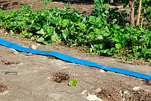 Шланг LayFLat гнучкий (без вмісту хлору Cl) Presto-PS діаметр 2 дюйми, довжина 100 м (PRM-51), фото 5