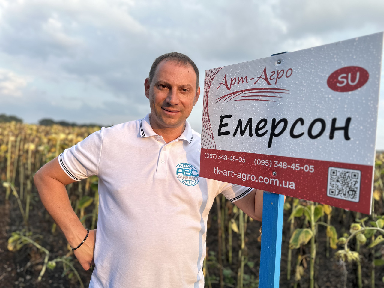 Соняшник Емерсон (Сумо). Насіння соняшнику під гранстар. Вовчок A-G+. 60ц/га. Екстра, фото 1