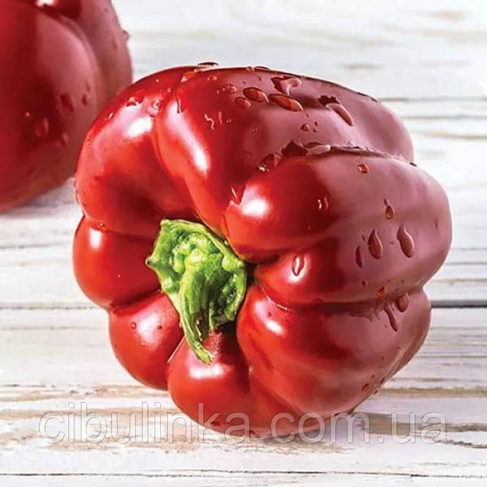 Перець солодкий Робертіна (ранньостиглий) 0,2 г, фото 1