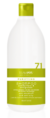 Шампунь проти лупи Team 155 Puryfing 71 Shampoo, фото 1