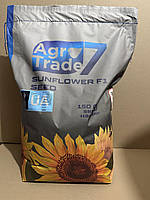 Соняшник Каскара (стійкий до вовчка 7+ рас, фракція Стандарт 8 кг) Врожай 2025