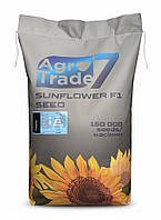 Соняшник Ласса (Стандарт, Олійність 52 %) Стійкий до Євролайтнінгу