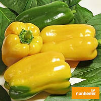 Перець Джеміні F1 Nunhems 5 насінин (зіп-пакет)
