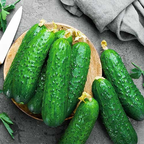 Насіння Огірок Вдалий F1 20шт, Елітсортнасіння