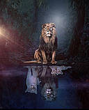 Алмазна мозаїка лев з рамкою 40x50 см картина король лев джунглів набір для дорослих Dreamtoys, фото 7