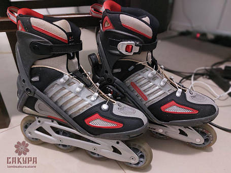 Роликові ковзани