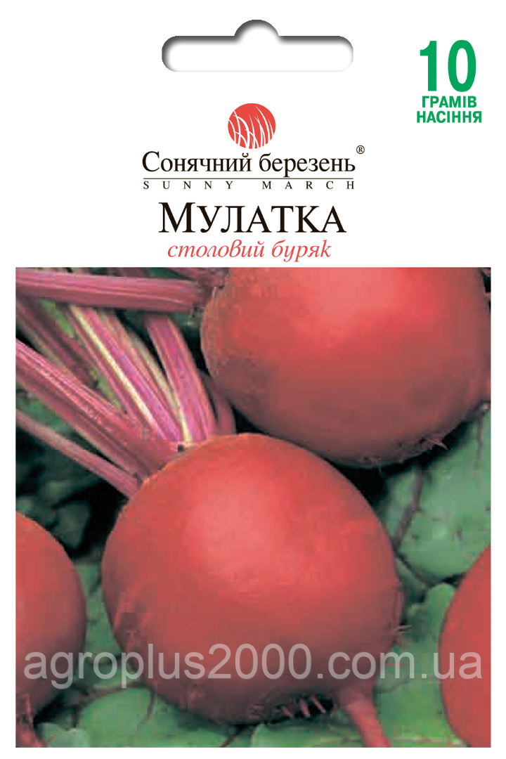 Насіння Буряк столовий Мулатка 10 грам Сонячний Березень