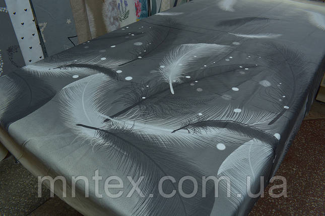 Сатин Дебра, фото 1