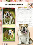 Книга Світ навколо нас. Собаки, фото 6