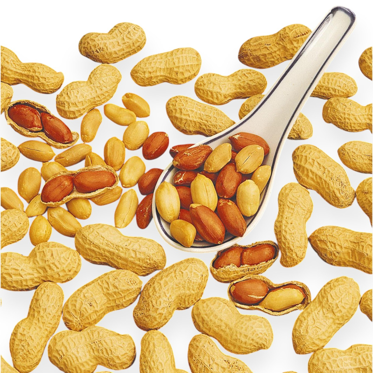 Насіння бобові Арахіс 20г