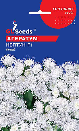 Насіння Агератуму