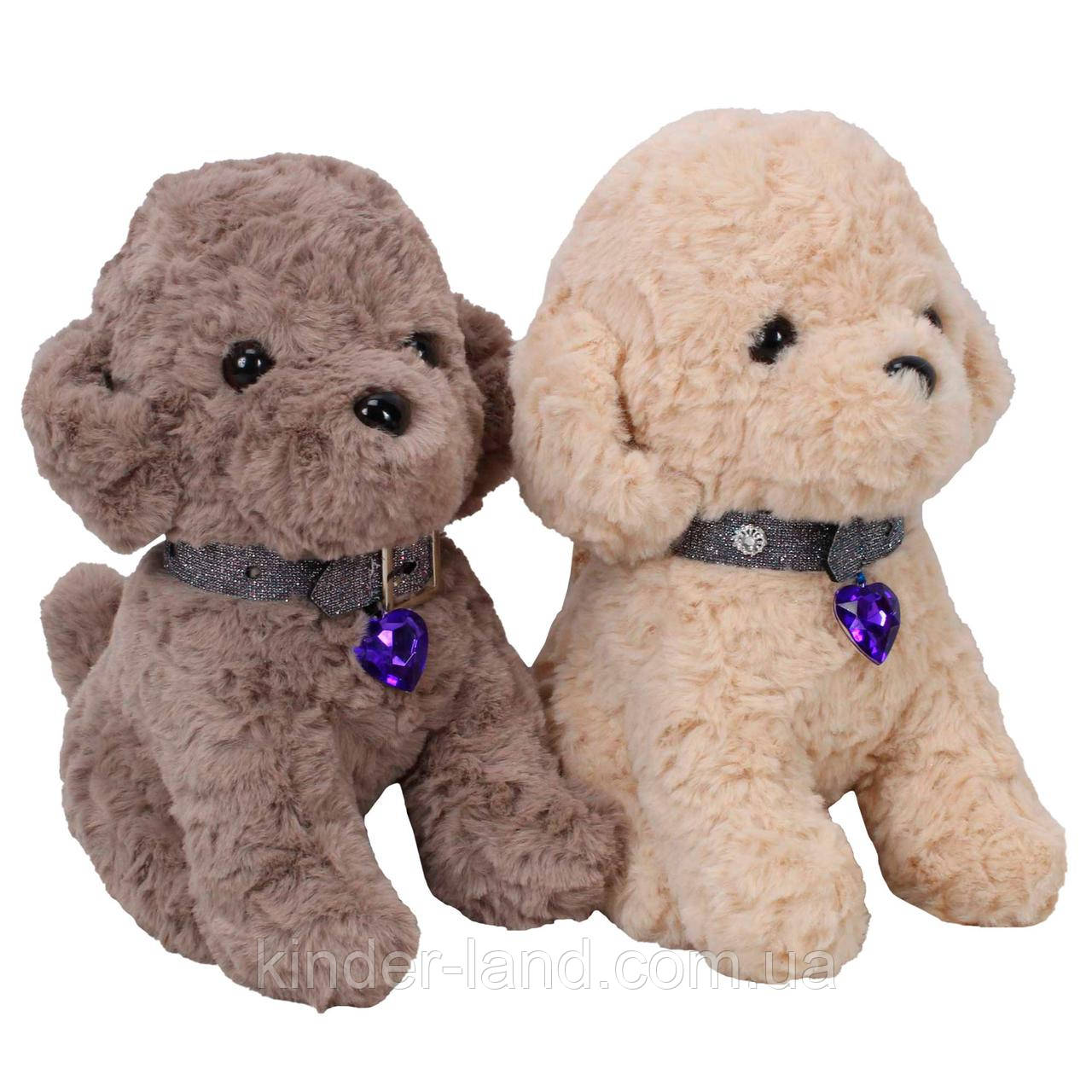 М’яка іграшка, собачка Мальтіпу, 23 см, фото 1