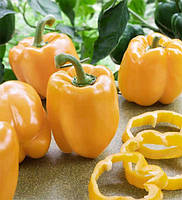 Насіння Inter seeds Перець високорослий Мохай F1 10 шт