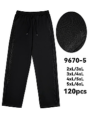 Жіночі штани еластан з камінням НАПIВБАТАЛ 9670-5 (в уп. один кольор) весна-осінь.