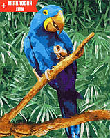 Набір ЛАК + Картина за номерами - Блакитне диво КНО4487/1, Yargo