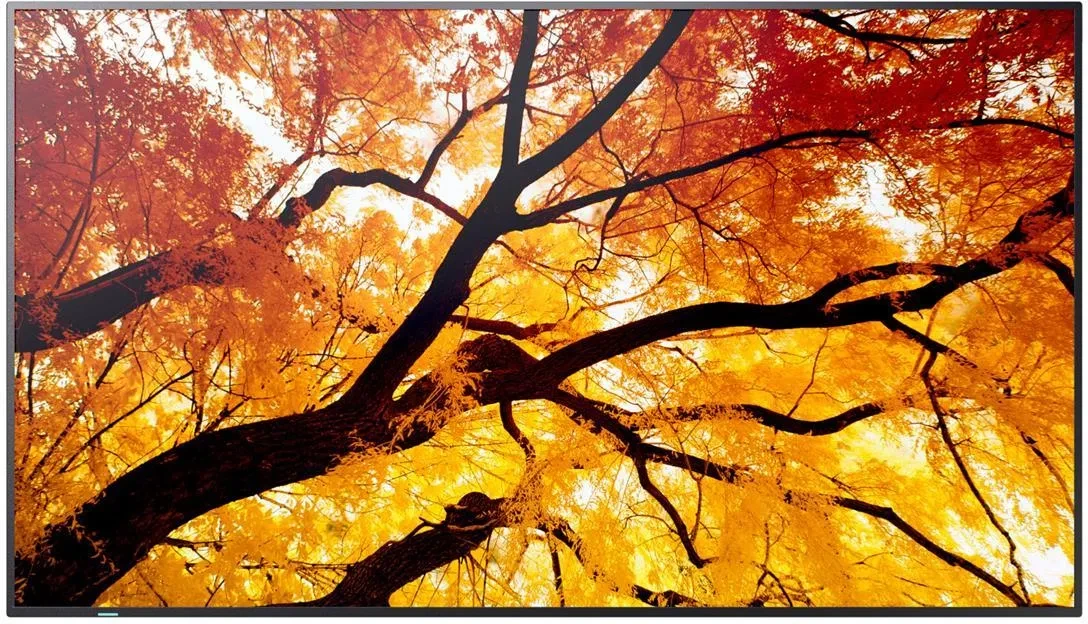 Sharp 50" MultiSync M502 (60006054) (наЗамовлення), фото 1