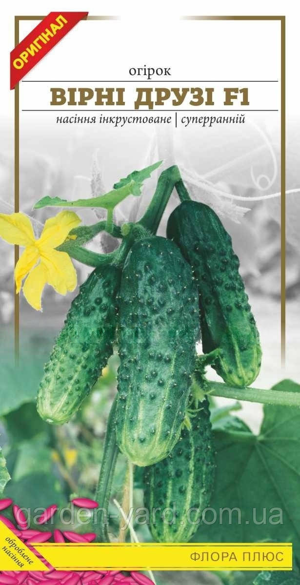 Насіння огірок Вірні друзі F1 0,5г. Флора плюс
