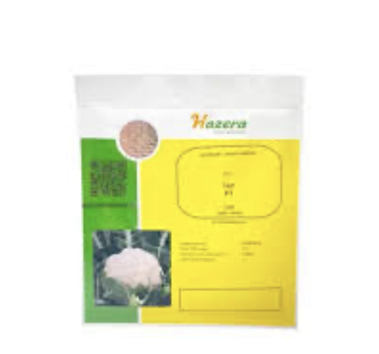 Насіння капусти Феррара F1 (2500 шт), фото 1