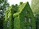 Вертикальне озеленення фасаду "під ключ"., фото 4