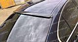 Спойлер на скло BMW E46 серія 3 AC Schnitzer (спійлер заднього скла БМВ Е46), фото 3