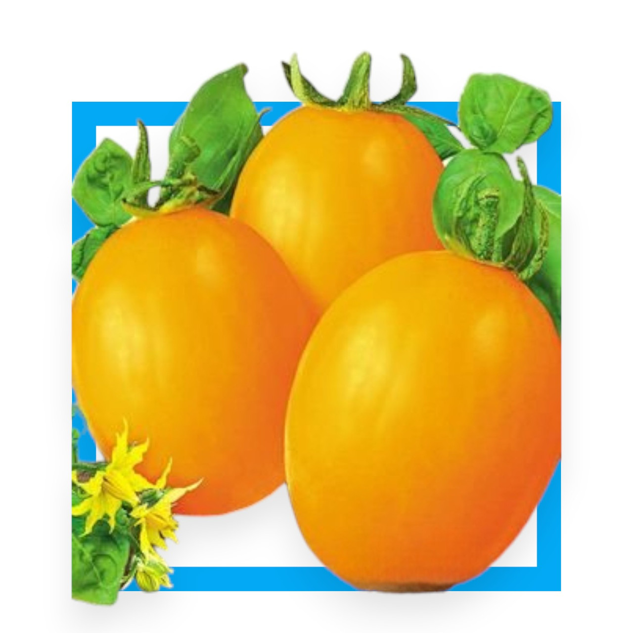 Насіння томат Де-барао оранжевий 0.1г