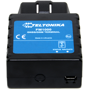 GPS-трекер Teltonika FM1000 (OBD-II), фото 2