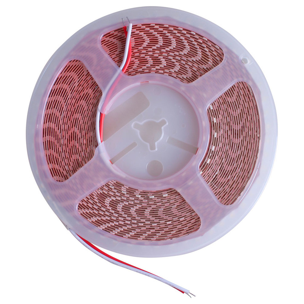 Світлодіодна стрічка Lightwell 2835 240LED 24V 6000k 10mm White 10 метрів, фото 1