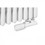 Claudia 3 White 600/1370 мм 2100 Вт горизонтальний радіатор RR-CL03-6001370W, фото 3