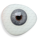 Сірі Лінзи Тейлор Грей | Кольорові лінзи для краси ( Нульовки ) |  Натуральні-Природні | Для світлих - чорних очей, фото 2