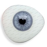 Сірі Лінзи Лима Сноу | Кольорові лінзи для краси ( Нульовки ) |  Натуральні-Природні | Для світлих - чорних очей, фото 2