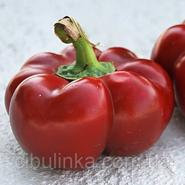 Перець солодкий Новогогошари червоний (товстостінний) 0,2 г, фото 1