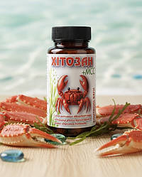 Хітозан + MCC Приморський край 90 капсул