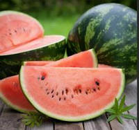 Добрива для кавуна