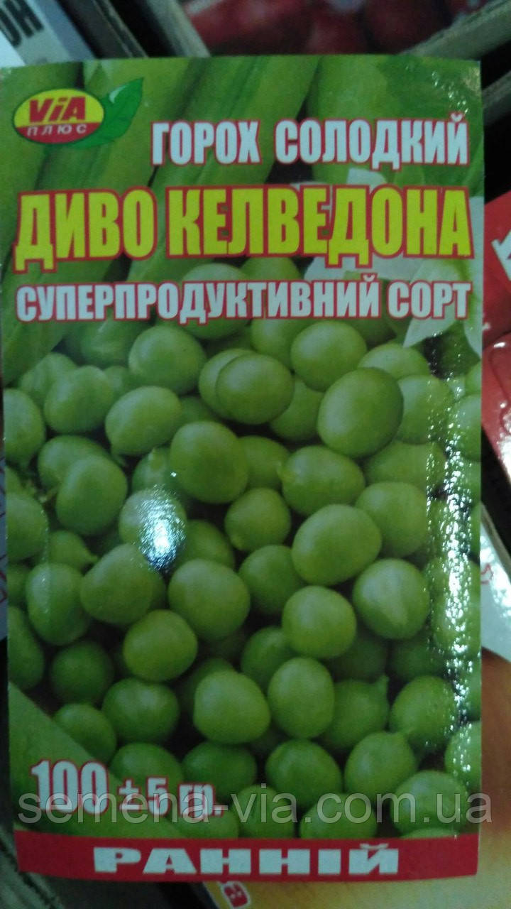 Насіння Чудо Кельвідона (100 грамів) ТМ VIA плюс