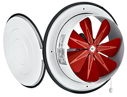 Вентилятор осьовий із кришкою BK 200