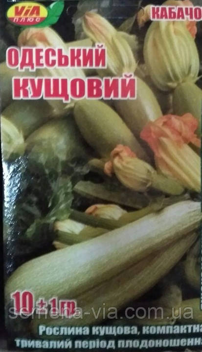 Насіння кабачка Кустовий 10 грамів ТМ VIA плюс