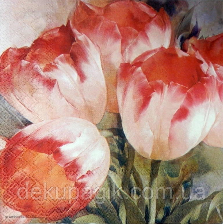 Серветка для декупажу ЦЛ-92 (33х33см)