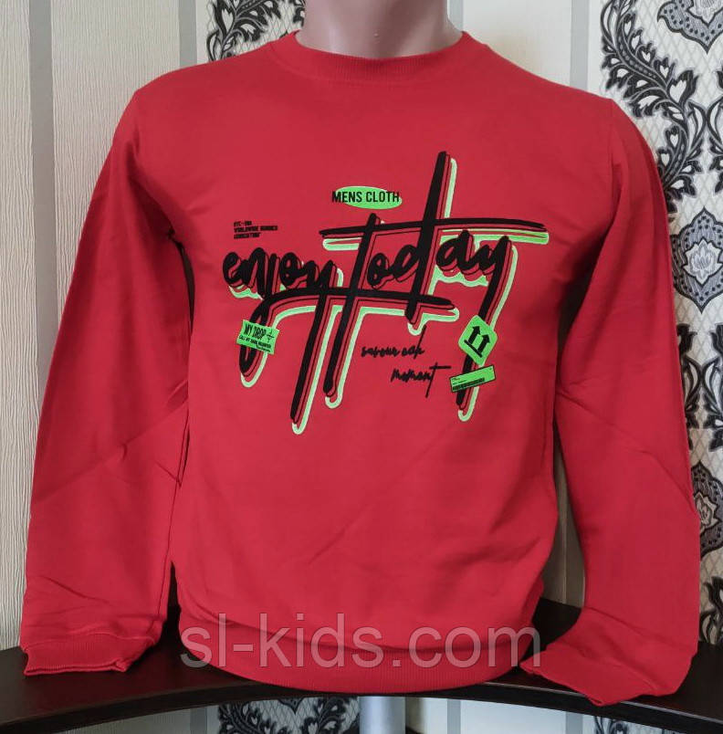 Реглан на хлопчика 134